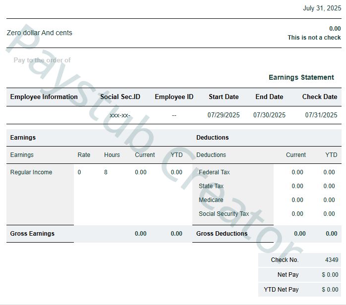 Short B&W Paystub